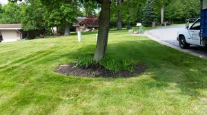 2015-06-05 (2)
